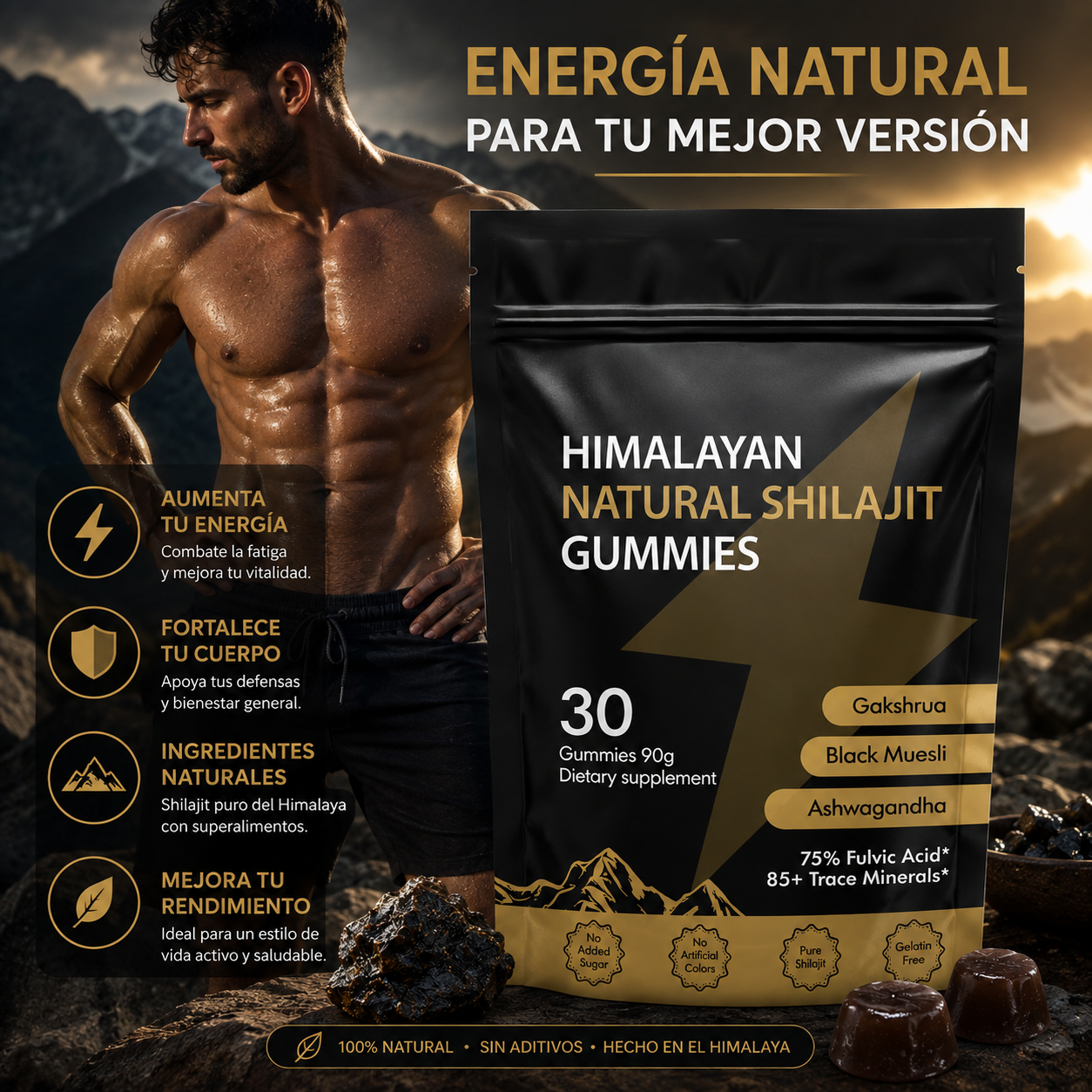 Gomitas Shilajit Himalaya